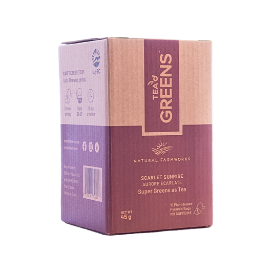 Scarlet Sunrise Pyramid Bags 15 Ct