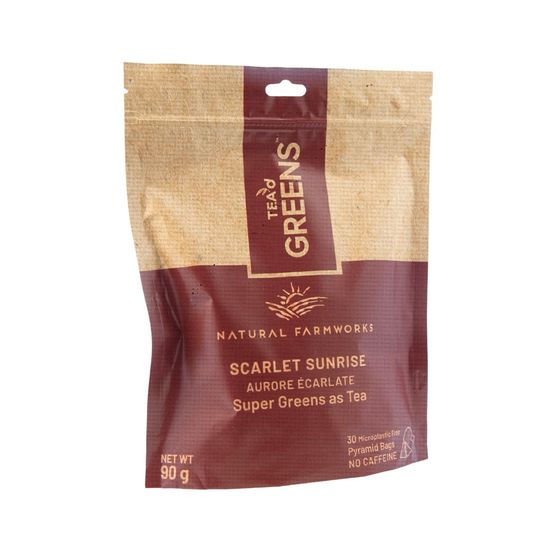 Scarlet Sunrise 30 Ct Pyramid Bags