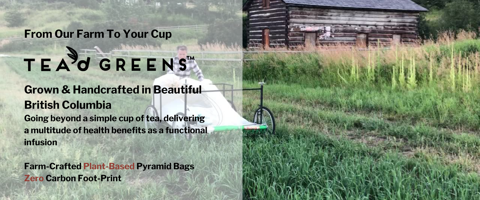 Load video: From our farm to your cup video