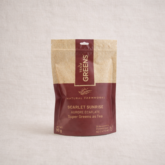 Scarlet Sunrise | 30 Pyramid Bags