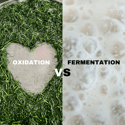 Oxidation vs Fermentation