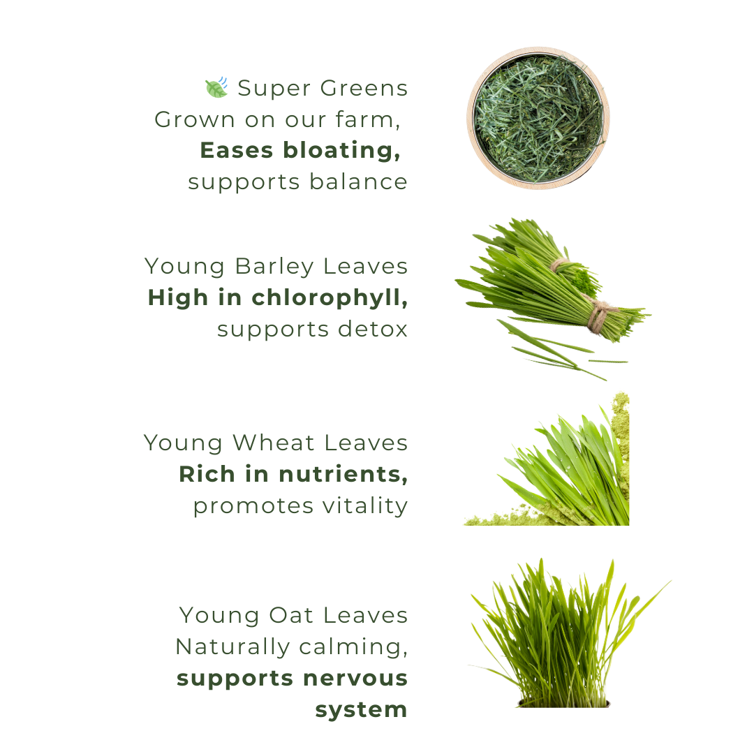 Clean Green → Daily Gut Support