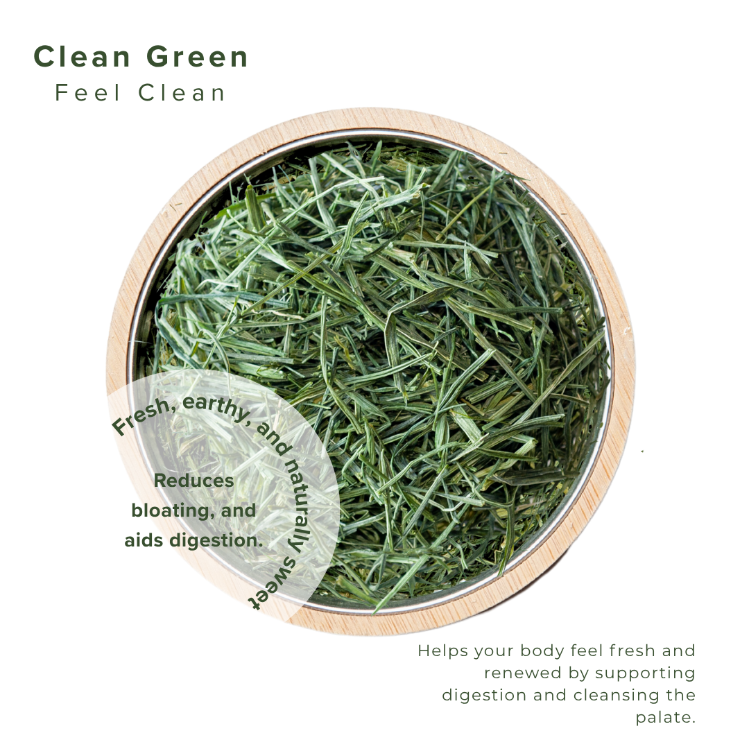 Bowl of green tea leaves with text describing its benefits on a white background