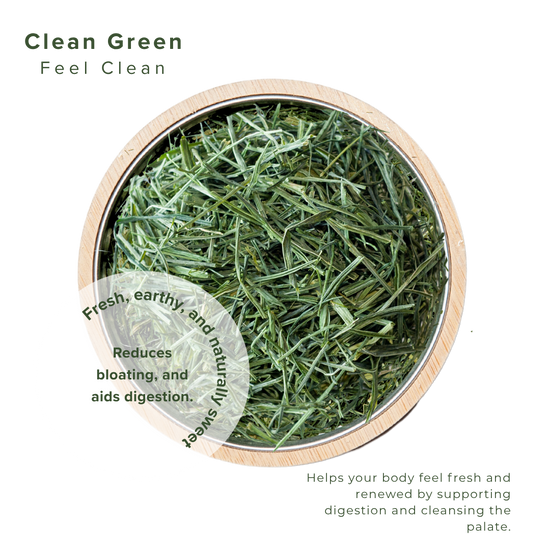 Bowl of green tea leaves with text describing its benefits on a white background