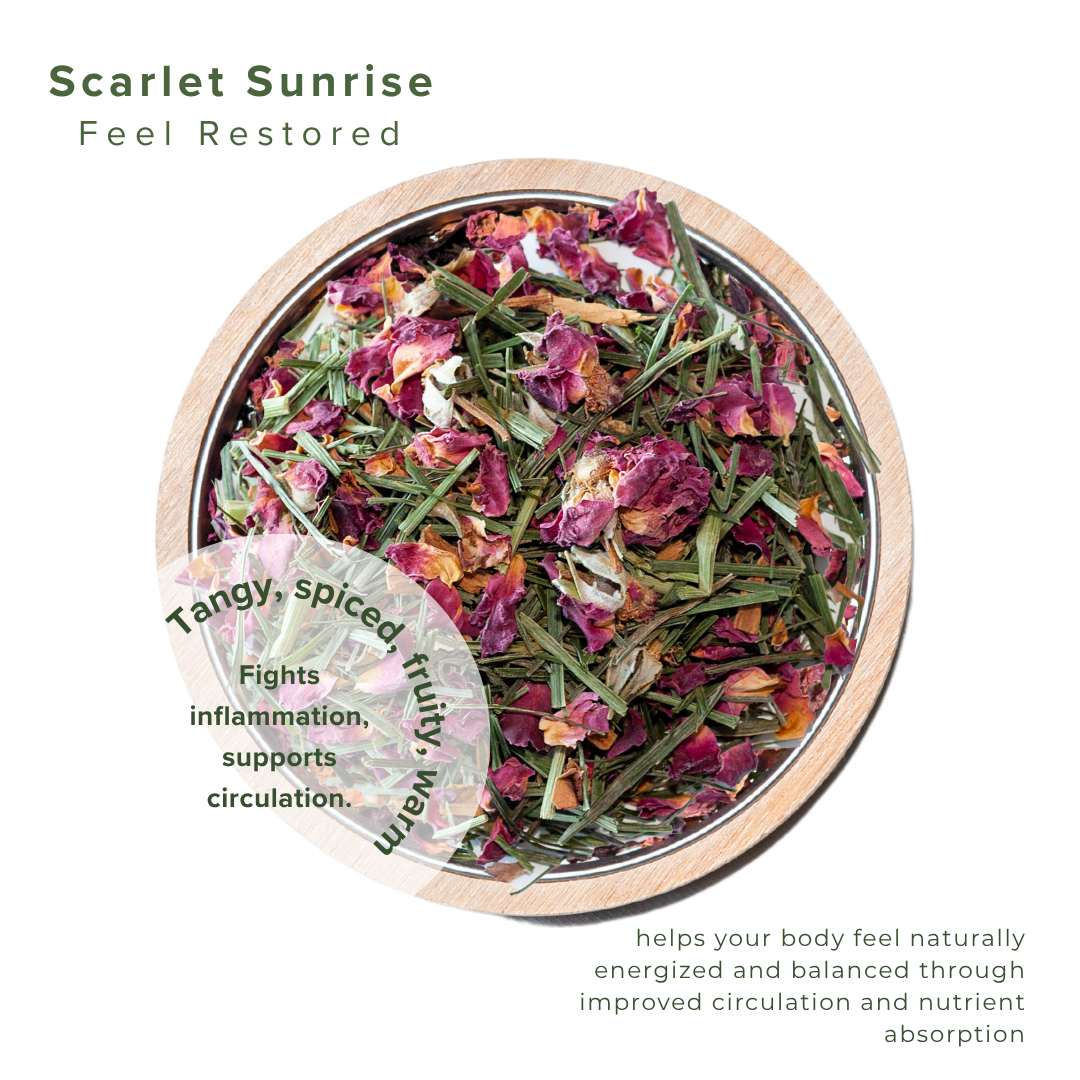 Scarlet Sunrise → Circulation & Renewal