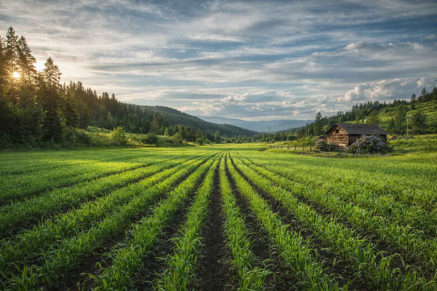 Load video: Farm Video - Natural Farmworks