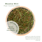 Meadow Mint Ecoista  → Soothe Your Stomach | 100g Loose Leaf Cylinder