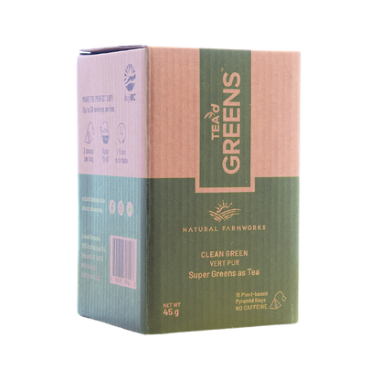 Clean Green Pyramid Bags 15