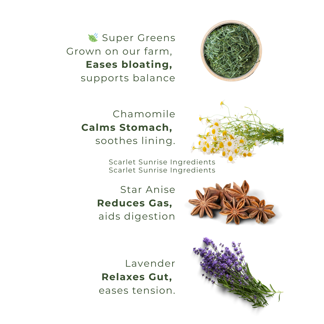 Herbal ingredients with their benefits on a white background