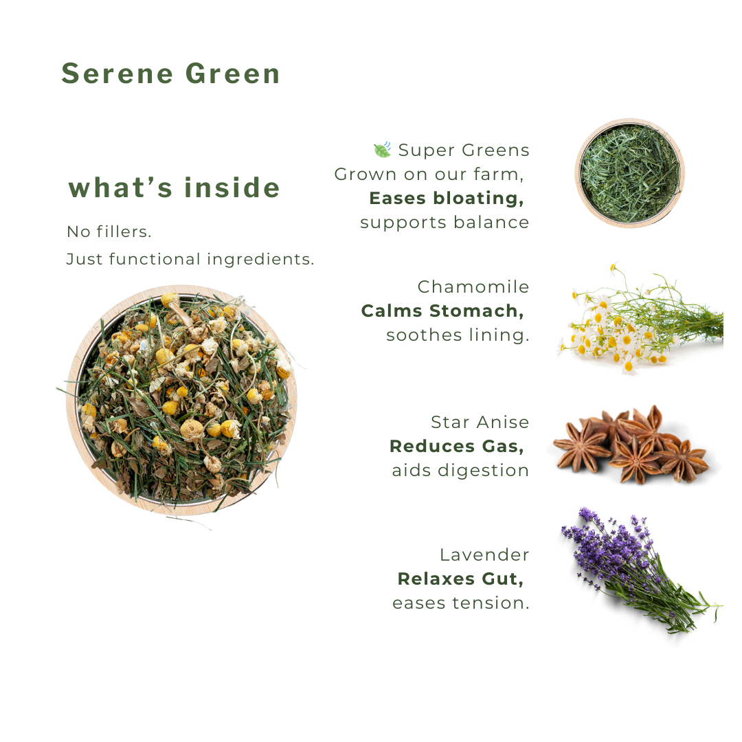 Serene Green Ecoista → Nighttime Calm | 100g Loose Leaf Cylinder