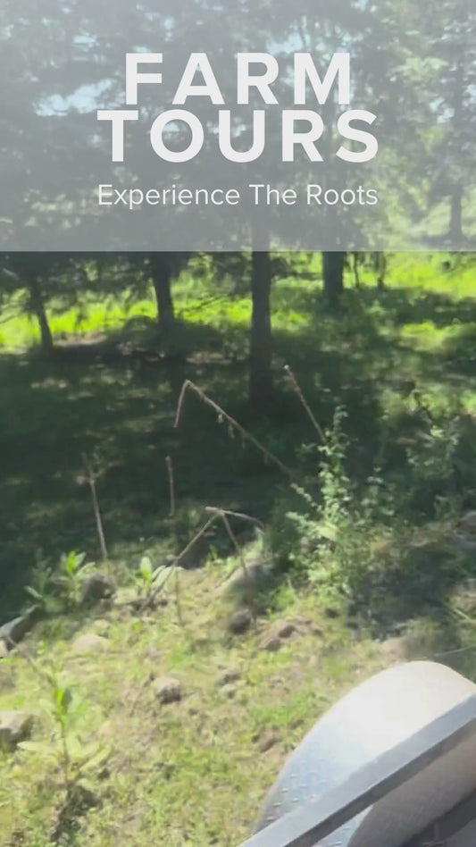 Immersion Sunday Farm Tour | Per Guest